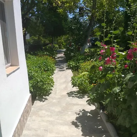 Casa Lotus Pensiune *