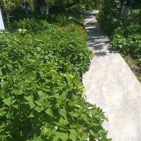 Pensiune Casa Lotus Costineşti