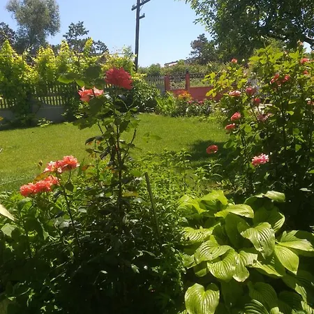 Casa Lotus * Costineşti